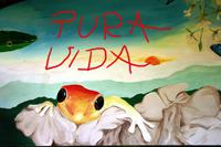 Pura Vida - Auf Wiedersehen Costa Rica &ndash; &copy; Annett Müller (Eberhardt TRAVEL)